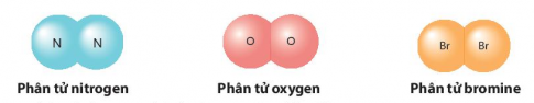 Phân tử tạo bởi một nguyên tố:
