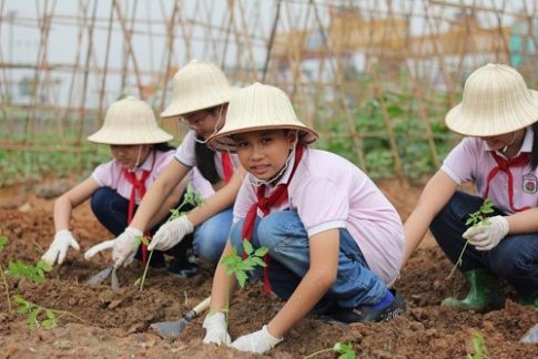 Các bạn học sinh trong hình dưới đây đang làm gì?