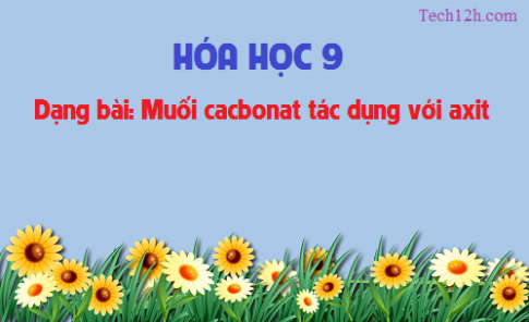 Dạng bài : Muối cacbonat tác dụng với axit