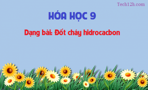 Dạng bài: Đốt cháy hidrocacbon