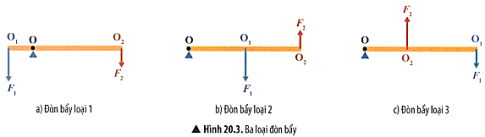 Ứng dụng với mỗi loại đòn bẩy (Hình 20.3), hãy nhận xét về vị trí điểm tựa và điểm đặt các lực.