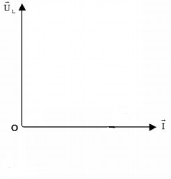 Bài 13: Các mạch điện xoay chiều.