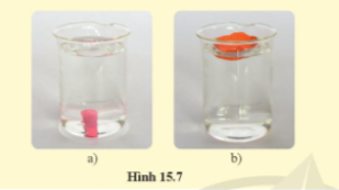 Thả một miếng đất nặn vào nước thì bị chìm, hình 15.7a. Vì sao cũng số lượng đất nặn ấy được nặn thành vật như hình 15.7b thì lại nổi trên nước 