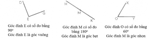 Trả lời