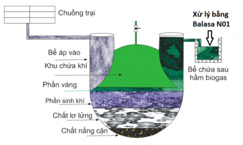Em hãy trình bày về một vấn đề mà em dự định thực hiện