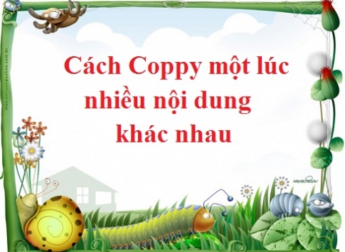 Cách coppy nhiều nội dung khác nhau cùng một lúc đơn giản trong word