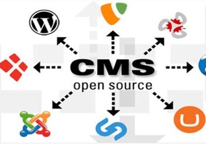 Top những CMS được dùng nhiều nhất, phổ biến nhất hiện nay