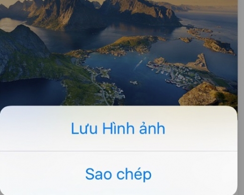 Điện thoại Iphone: Cách tải ảnh trên mạng về máy