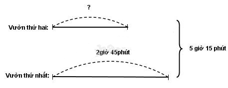 Giải vbt toán 5 tập 2 bài 124: Trừ số đo thời gian - Trang 51, 52