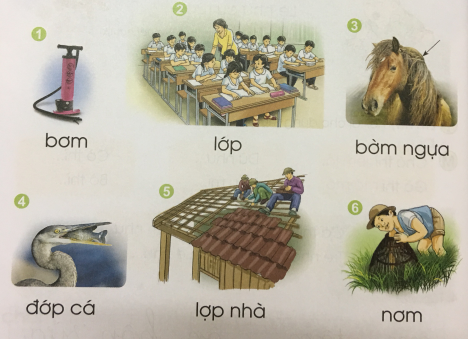 [Cánh điều] Giải Tiếng Việt 1 tập 1 bài 49: ơm, ơp