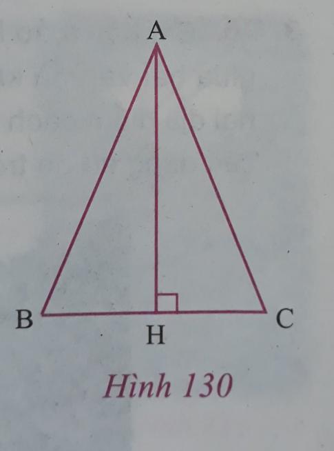 Giải VNEN toán hình 7 bài 8: Các trường hợp bằng nhau của tam giác vuông