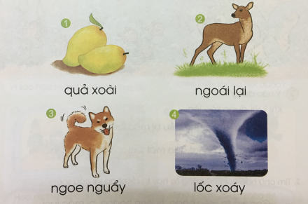 [Cánh diều]Giải tiếng việt 1 bài 136: oai, oay, uây