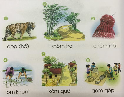 [Cánh điều] Giải Tiếng Việt 1 tập 1 bài 47: om, op