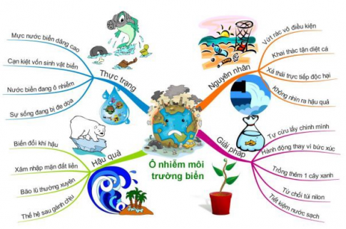 [Cánh diều] Trắc nghiệm tin học 6 CĐ E bài 6: Sơ đồ tư duy