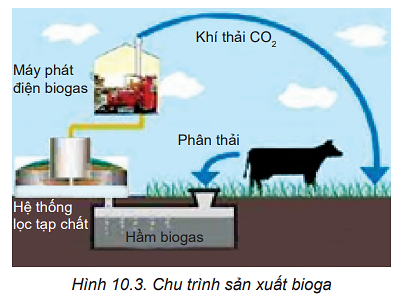 Hãy tìm hiểu và thảo luận công nghệ sản xuất khí sinh học:...