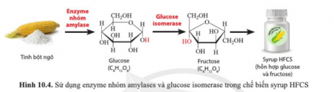 Quan sát hình 10.4 và cho biết các enzyme được sử dụng trong quy trình sản xuất syrup HFCS thực hiện xúc tác các phản ứng nào trong quy trình đó.