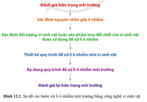 Hiện nay, ô nhiễm môi trường đất và nước đang là vấn đề nhận được nhiều sự quan tâm của thế giới. Việc tìm ra và ứng dụng những công nghệ xanh trong xử lí chất thải vừa hiệu quả vừa...