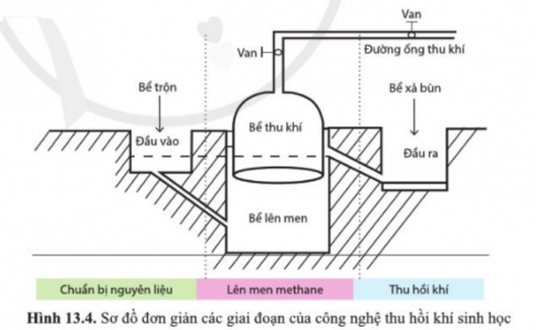 Quan sát hình 13.4 và cho biết các giai đoạn của công nghệ lên men thu hồi khí sinh học. Vi sinh vật lên men sẽ được bổ sung vào bể nào?