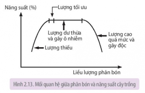 Việc bón quá ít hoặc quá nhiều phân bón sẽ ảnh hưởng như thế nào đến đất và cây trồng?