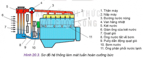   - Gọi tên, xác định vị trí các chi tiết, bộ phận từ (1) đến (11) của hệ thống làm mát.  - Khi quạt gió (7) quay, gió được hút vào hay thổi ra.  - Trên các đường ống dẫn nước, màu đỏ, màu xanh thể hiện điều gì?