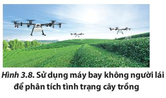 Mô tả một số ví dụ thực tế cho thấy việc sử dụng kiến thức vật lý trong nông, lâm nghiệp