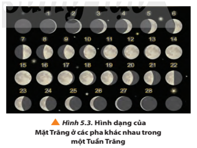 Quan sát Hình 5.3, kết hợp với những kinh nghiệm của bản thân, hãy cho biết em đã từng thấy Mặt Trăng có những hình dạng nào?