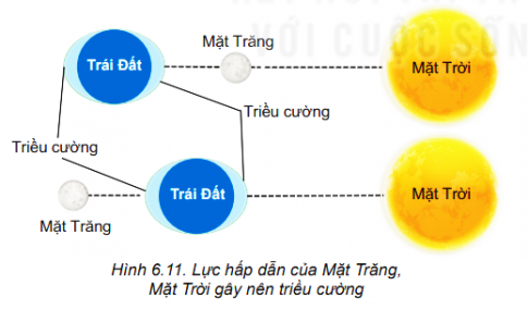 Giải thích tại sao khi Mặt Trời, Trái Đất và Mặt Trăng thẳng hàng sẽ xảy ra triều cường.