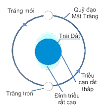 Mặt Trăng, Trái Đất đều tự quay quanh trục đi qua tâm của nó và cùng chuyển động xung quanh Mặt Trời đã tạo ra nhiều hiện tượng thiên nhiên trên Trái Đất như nhật thực, nguyệt thực, thuỷ triều. Vậy, bản chất...