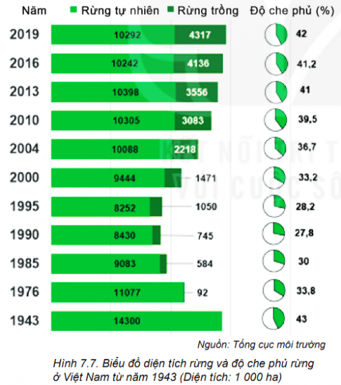 Quan sát biểu đồ Hình 7.7 và nhận xét về diện tích, độ che phủ rừng ở Việt Nam qua các năm và tác động của những chính sách của chính phủ trong việc bảo vệ rừng?