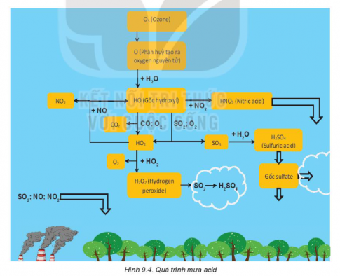 Hãy tìm hiểu nguyên nhân gây mưa acid và các tác động tiêu cực đến môi trường.