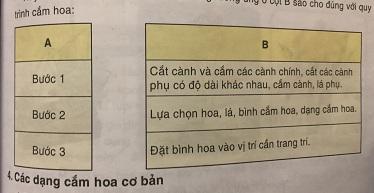 Quan sát hình và sắp xếp sao cho phù hợp