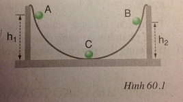 Trả lời các câu hỏi C1,C2,C3 bài 60: Định luật bảo toàn năng lượng - sgk Vật lí 9 trang 157