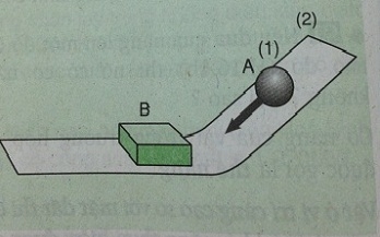 Cơ năng