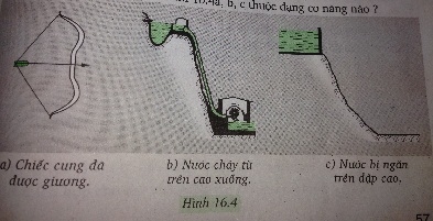 Cơ năng