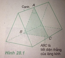 Giải bài 28: Lăng kính - sgk Vật lí 11 trang 176-180