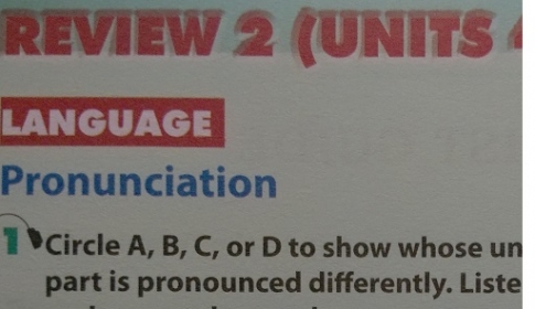 Language Review 2