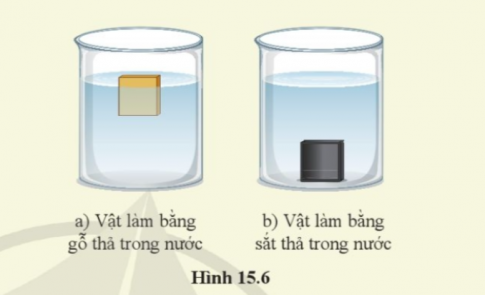 Thả hai vật hình hộp có kích thước giống nhau, một vật bằng gỗ và một vật bằng sắt vào trong nước (hình 15.6). So sánh lực đẩy Acsimet tác dụng lên hai vật.