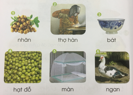 [Cánh điều] Giải Tiếng Việt 1 tập 1 bài 55: an, at