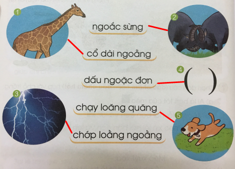 [Cánh diều]Giải tiếng việt 1 bài 130: oăng, oăc