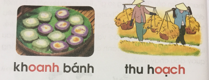 [Cánh diều]Giải tiếng việt 1 bài 131: oanh oach