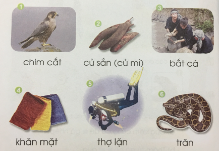 [Cánh điều] Giải Tiếng Việt 1 tập 1 bài 58: ăn, ăt