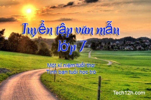 Viết bài văn biểu cảm (có sử dụng yếu tố miêu tả, tự sự) theo một trong hai chủ đề sau: Một kỉ niệm tuổi thơ hoặc Tình bạn tuổi học trò bài mẫu 1