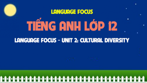 Language focus Unit 2: Cultural diversity Đa dạng văn hóa