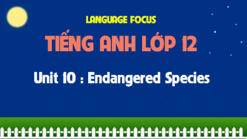 Language focus Unit 10 : Endangered Species