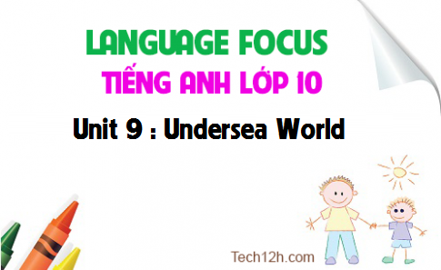 Language focus Unit 9 : Undersea world