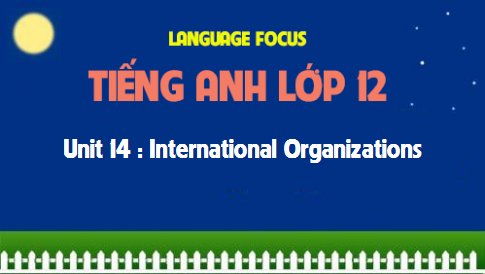 Language focus Unit 14 : International Organizations