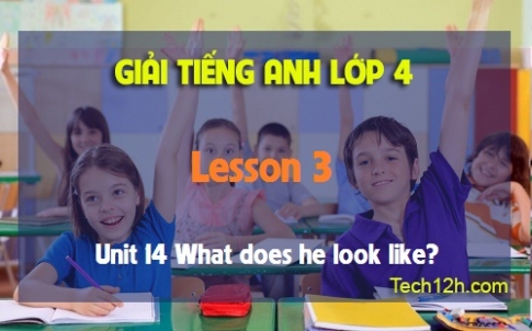 Unit 14 What does he look like? Lesson 3