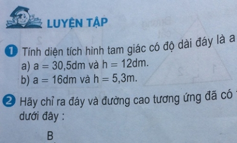 Giải bài luyện tập sgk toán 5 trang 88 89