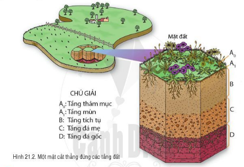  Lớp đất trên Trái Đất