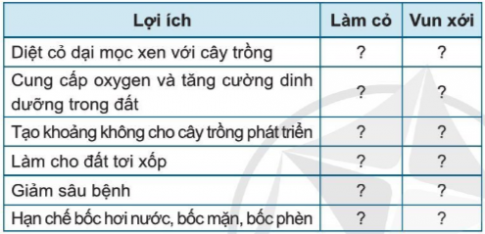  Quy trình trồng trọt 